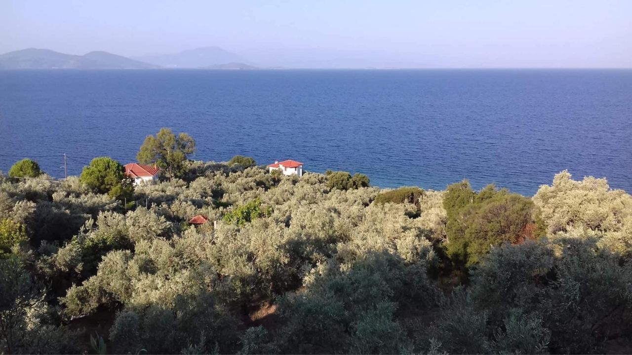 Villa Belian 1 أرغالاستي المظهر الخارجي الصورة